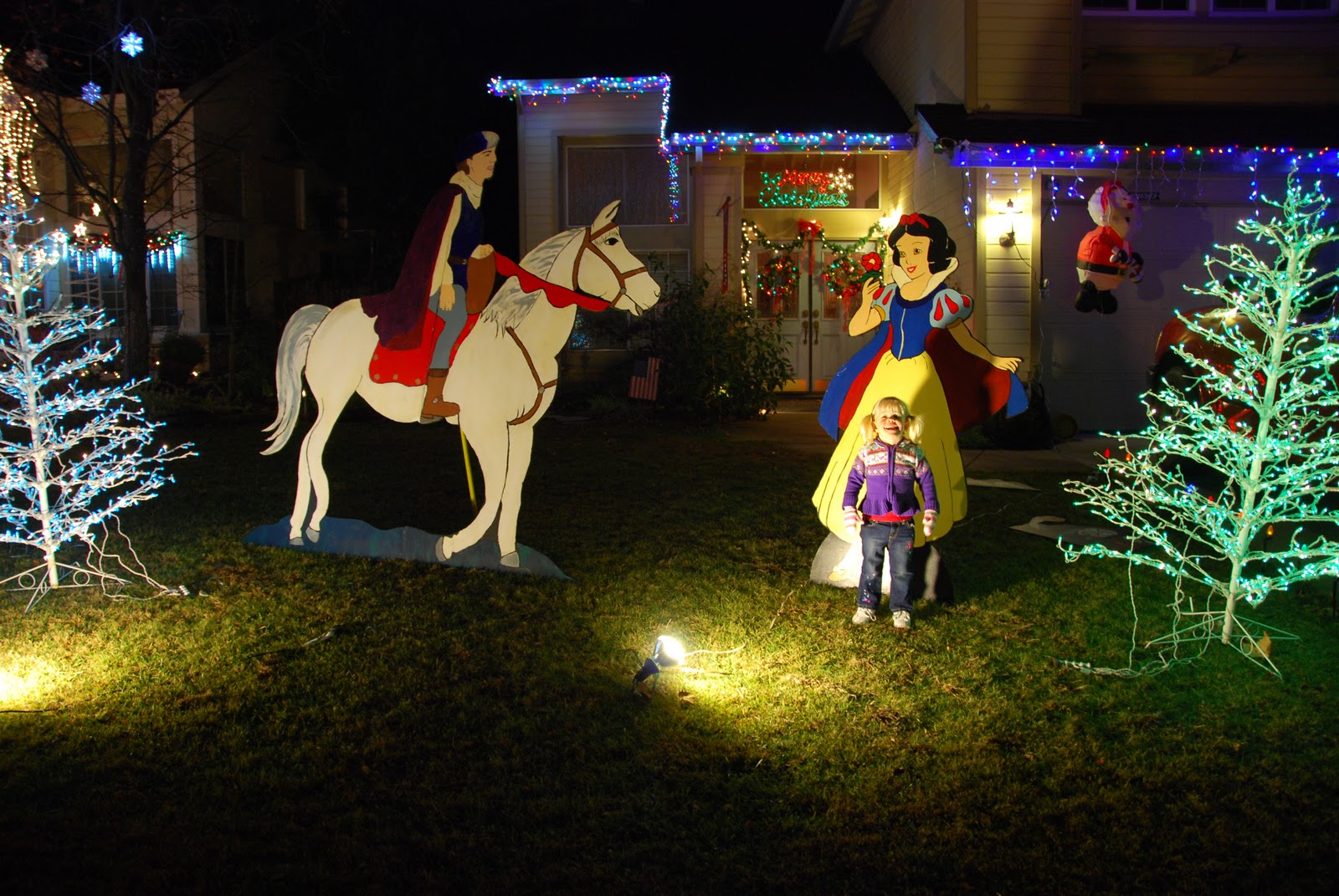 All Things Elise & Alina Rocklin Christmas Lights at Pebble Creek and