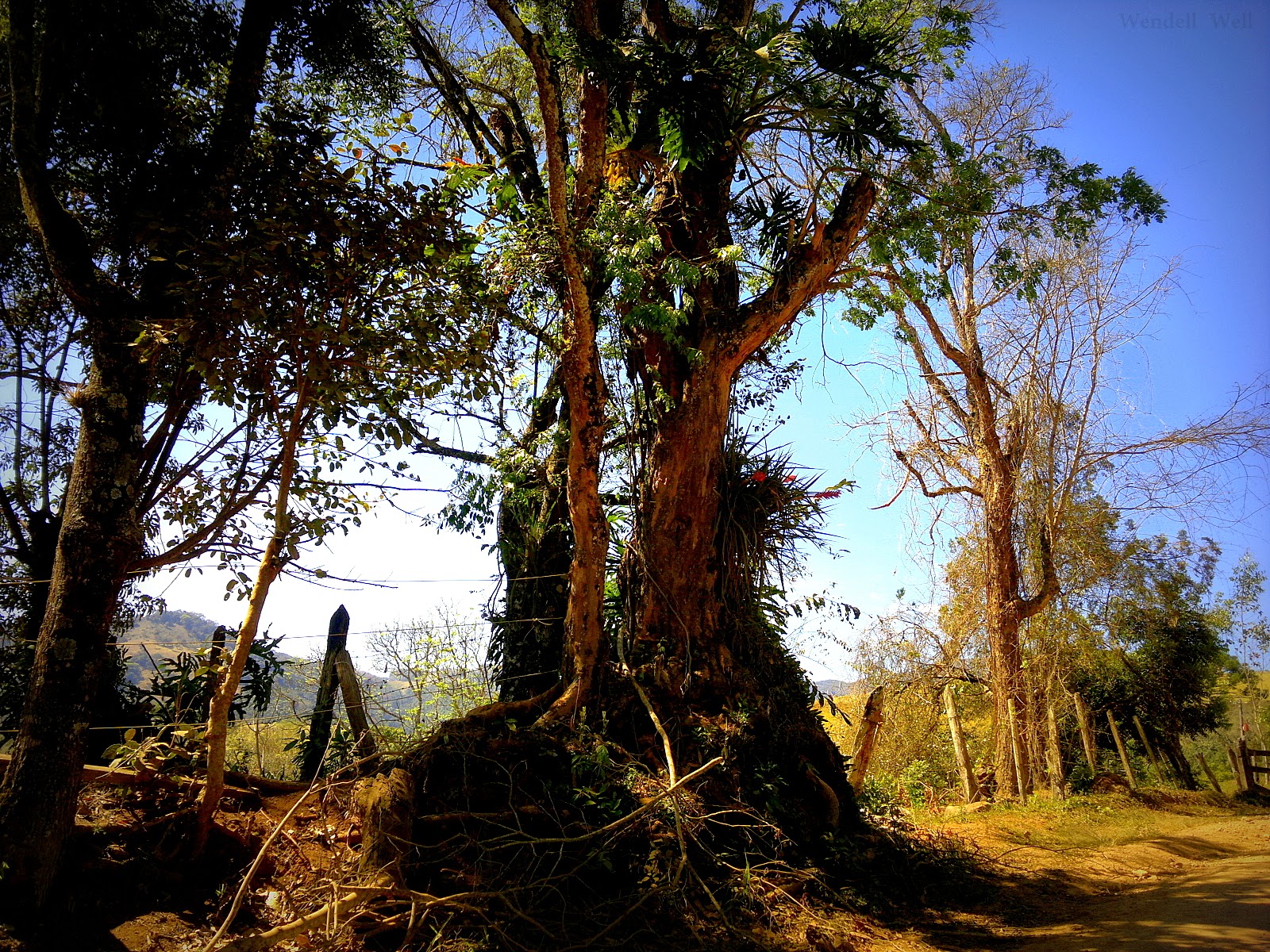 paisagem bucólica