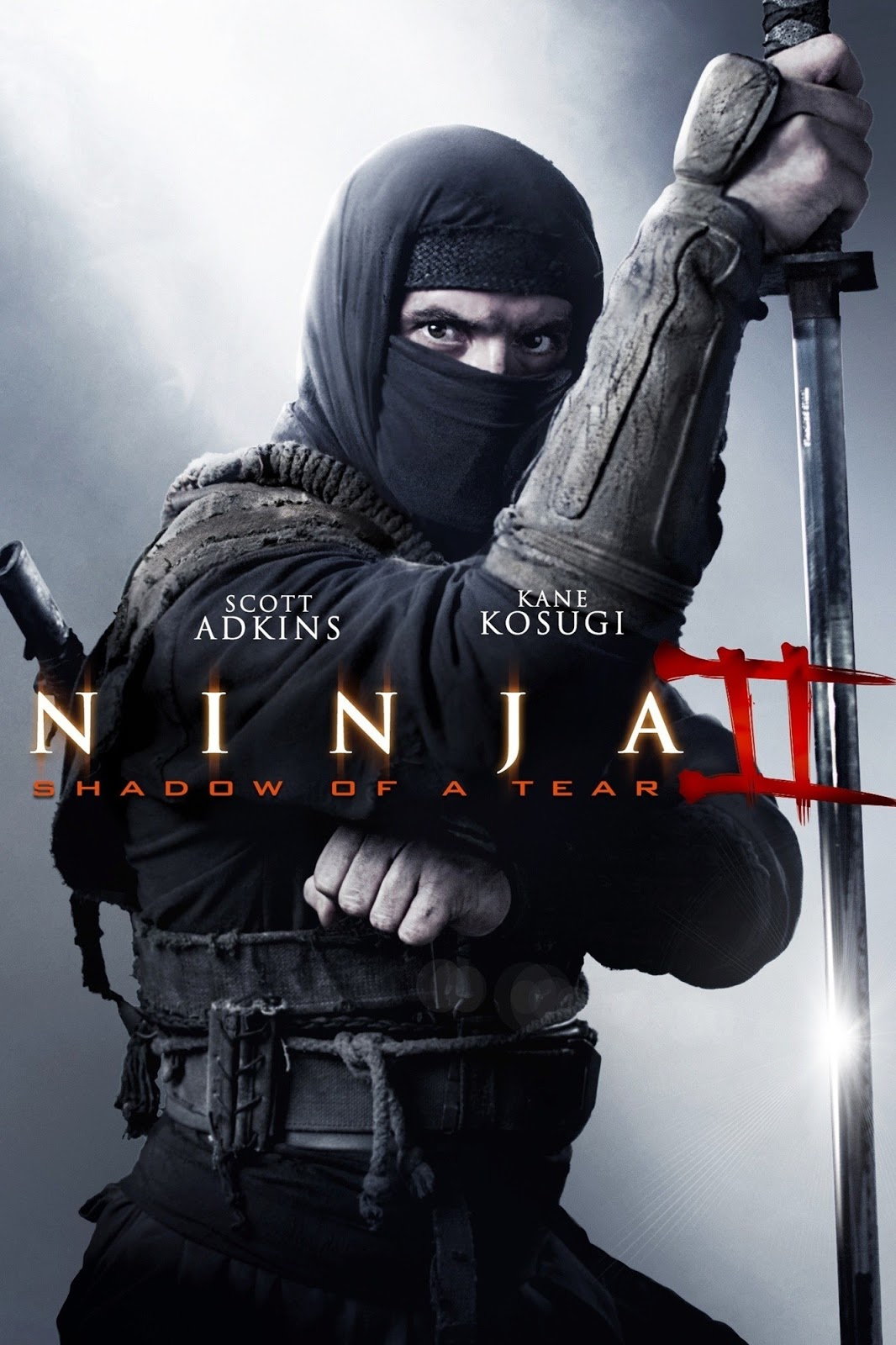Ninja: Shadow of a Tear 2013 - Full (HD)