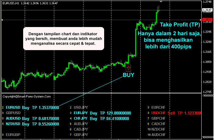 Everything forex
