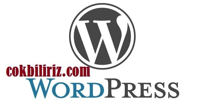 WordPress Warez Tema Kullanmak Neden Zararlıdır?