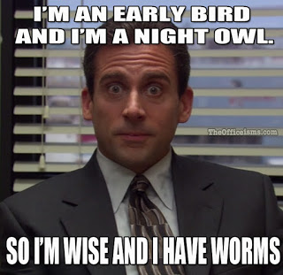 Office Memes from the Friday Frivolity Link-Up Party at Devastate Boredom - Michael Scott Early Bird and Night Owl 