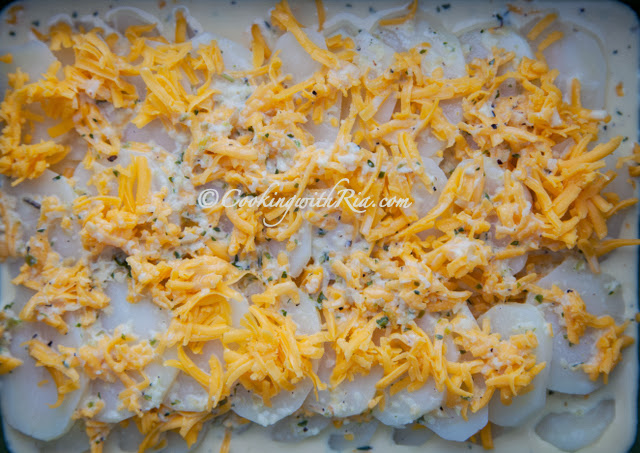 scalloped potatoes