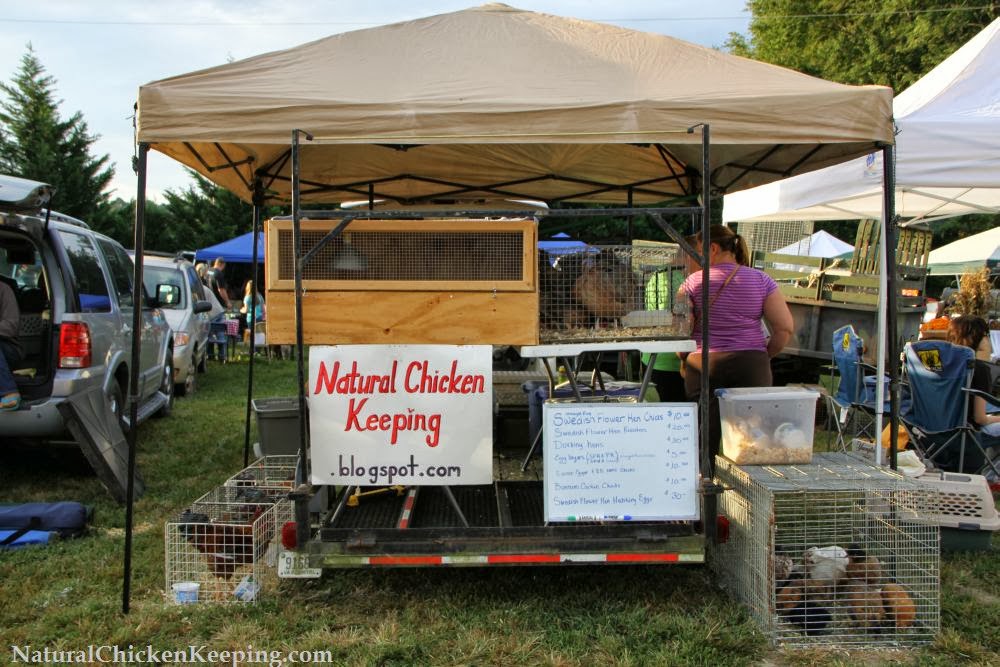 Natural Chicken Keeping The Chicken Swap Meet
