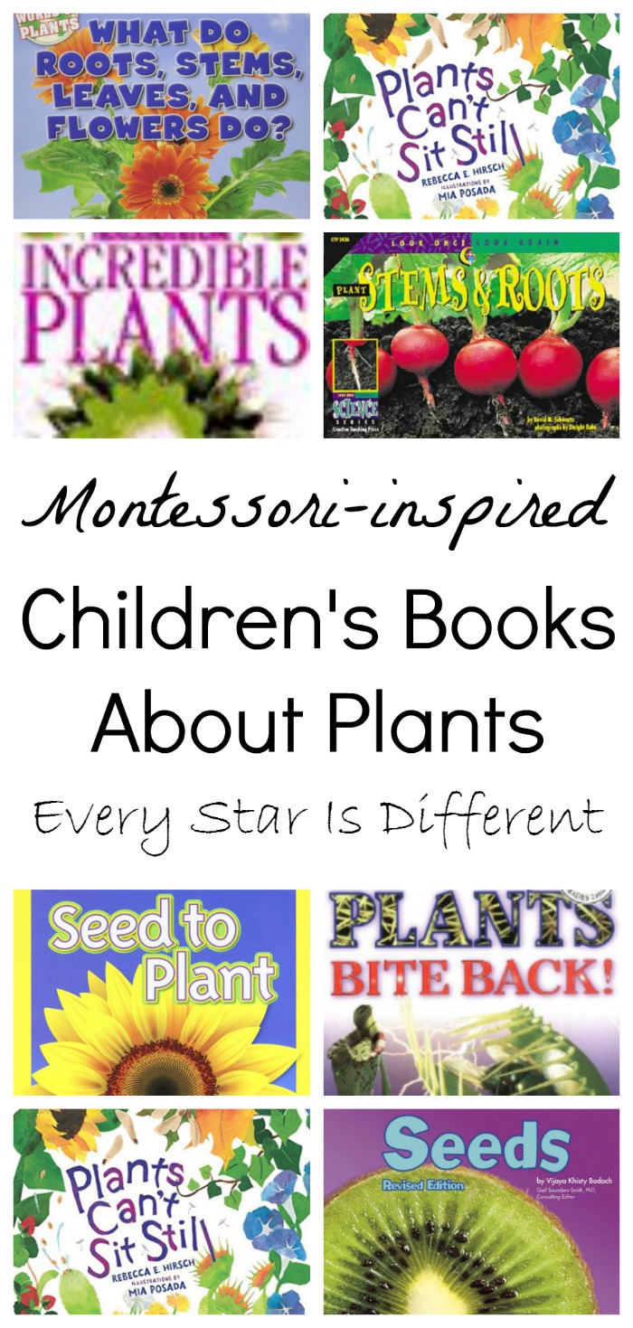Montessoriinspired Children's Books about Plants Every Star Is Different