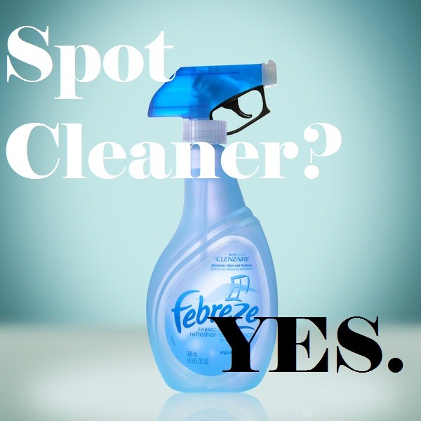 My American Confessions Tuesday How to Use Febreeze to Spot Clean Carpet