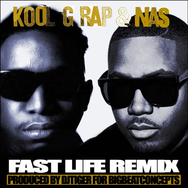 NAS & KOOL G RAP - FAST LIFE (DJ TIGER REMIX)