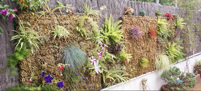 Web en español de la Empresa Musgo Sphaig : Jardines verticales y
