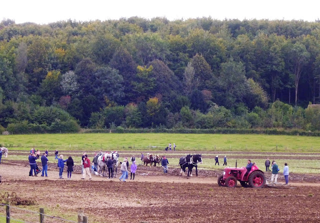 horses and tractors ploughing