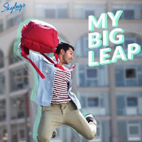 skybag varun dhawan