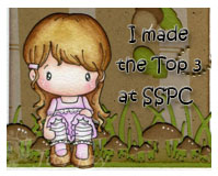 Yay!  Top three at SSPC!