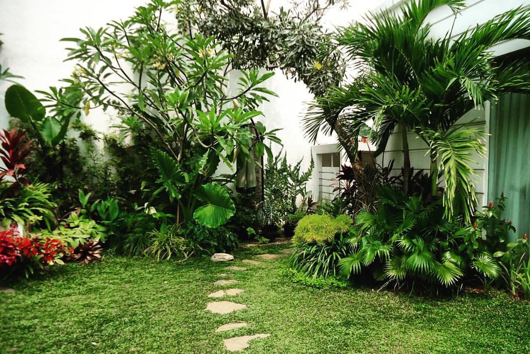 Taman Tropis Gaya Bali | TUKANG TAMAN JAKARTA | ALAM MADYA LANDSCAPE