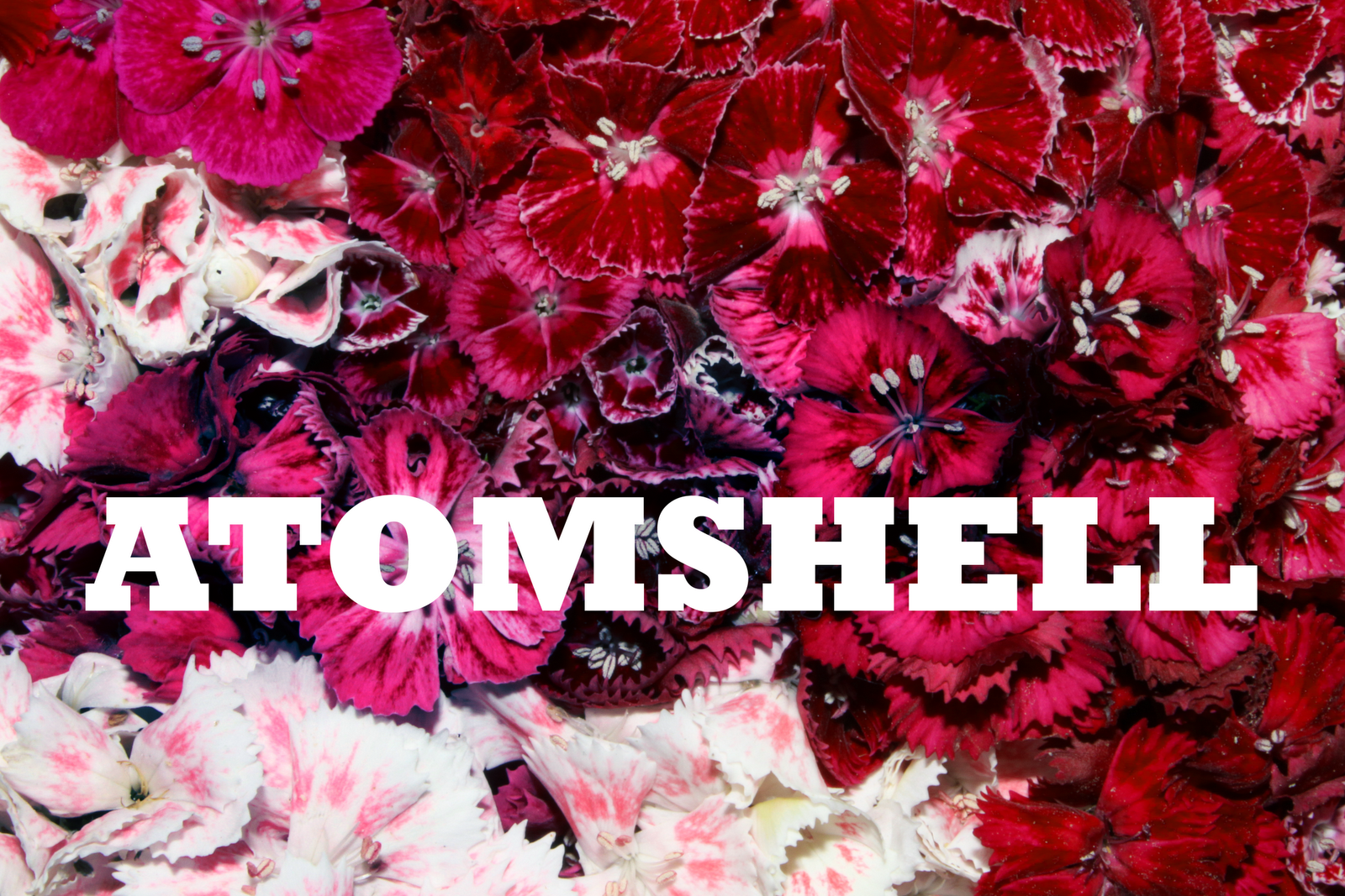 atomshell