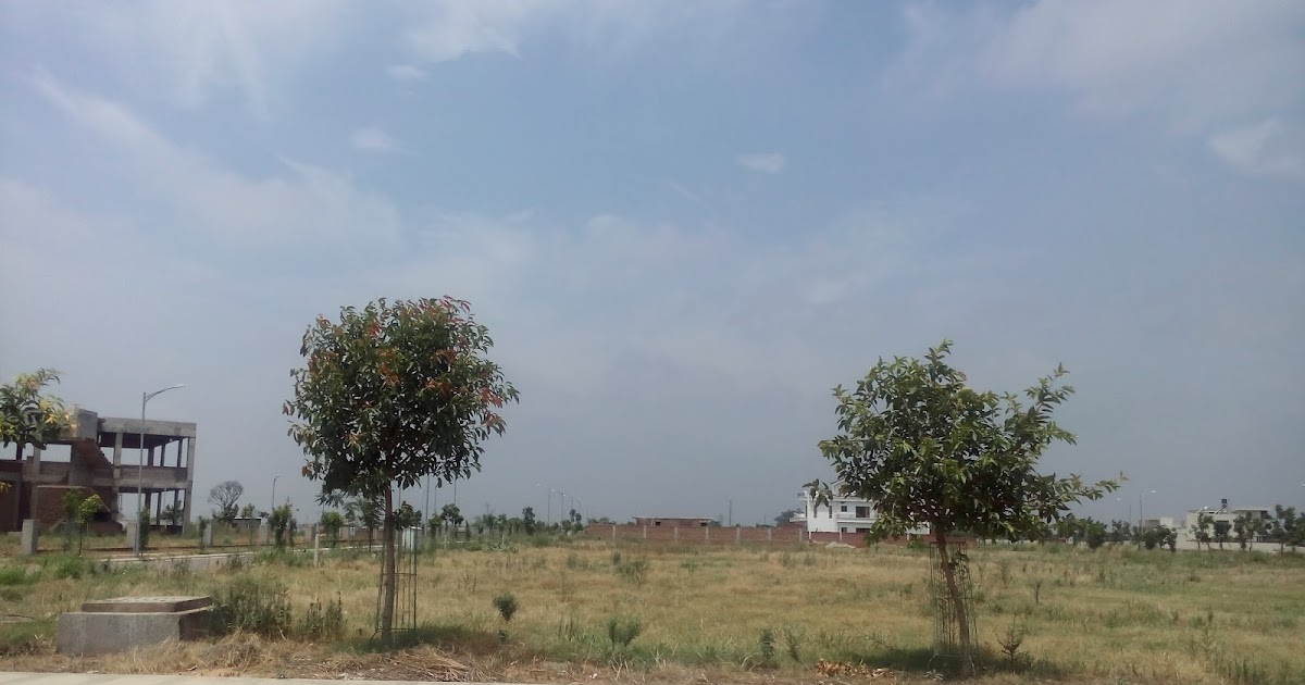 Omaxe, DLF, Ecocity, New Chandigarh, Mullanpur