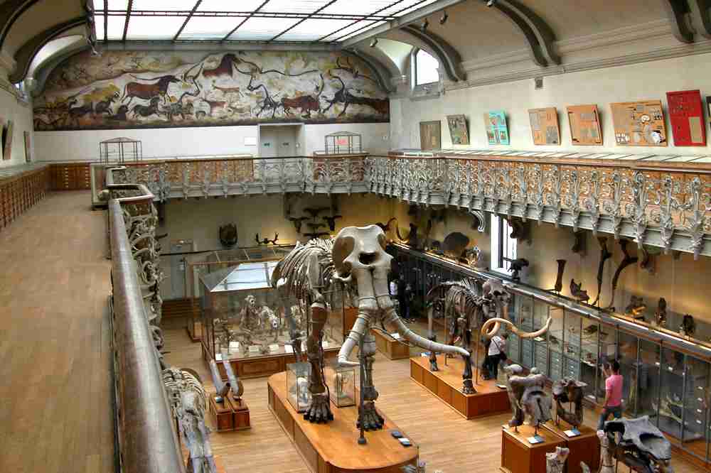 PARIS ARCHIS JARDIN DES PLANTES (4)