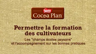 Plan cacao Nestlé