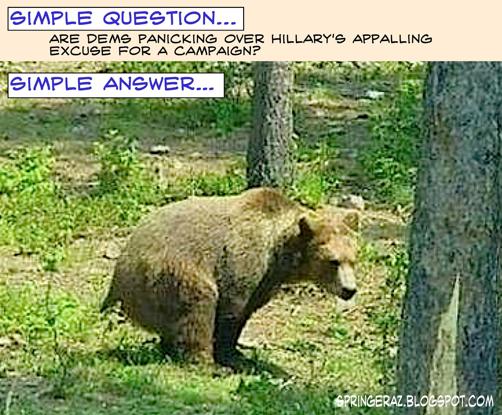 springer's blog: Simple Question