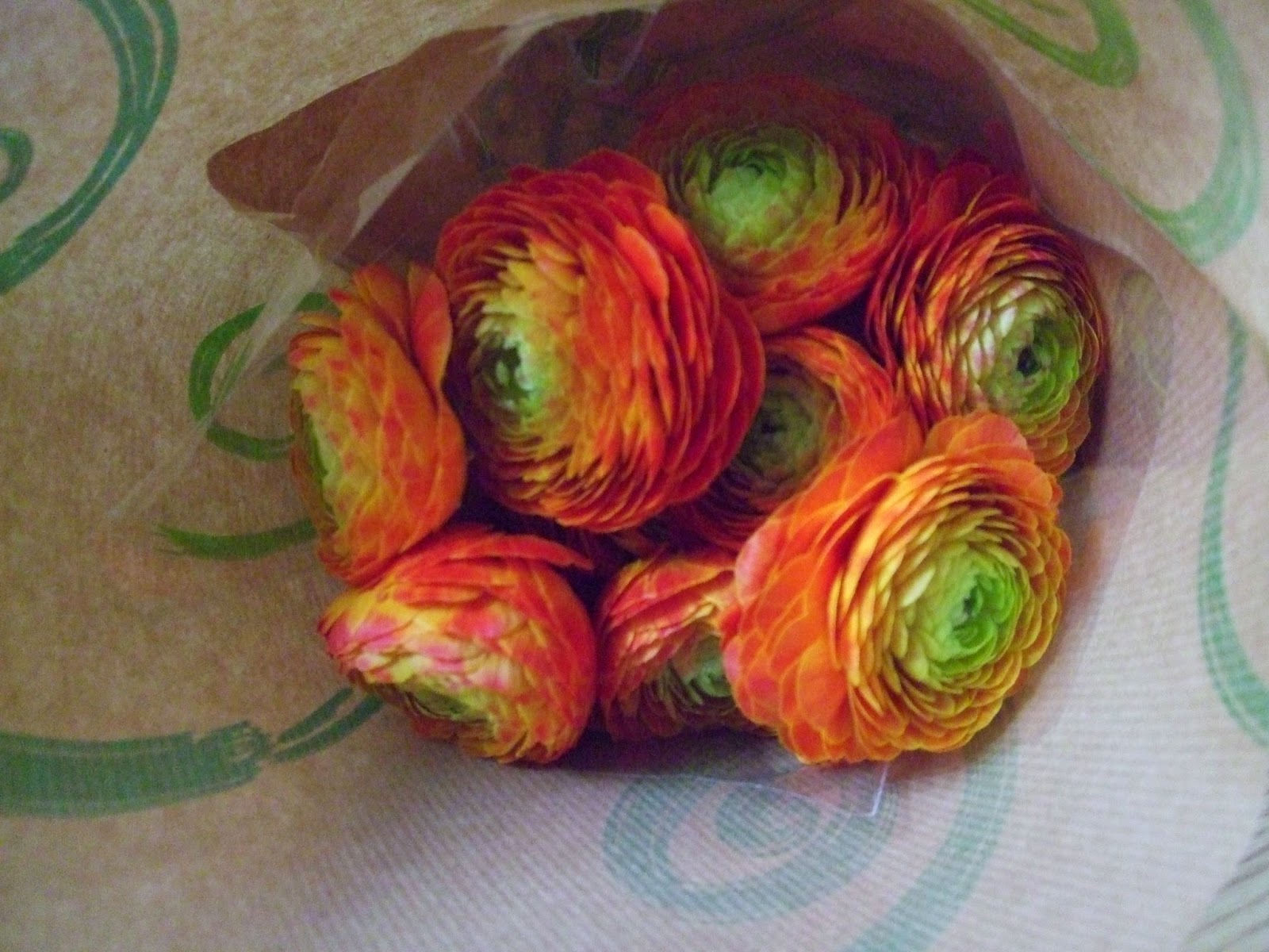 KINDER BY THE DAY: 50 Ideas- Acts of Kindness For Friends And Family