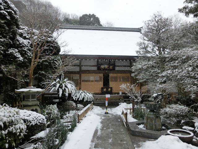 ���A�@�̐�i�F