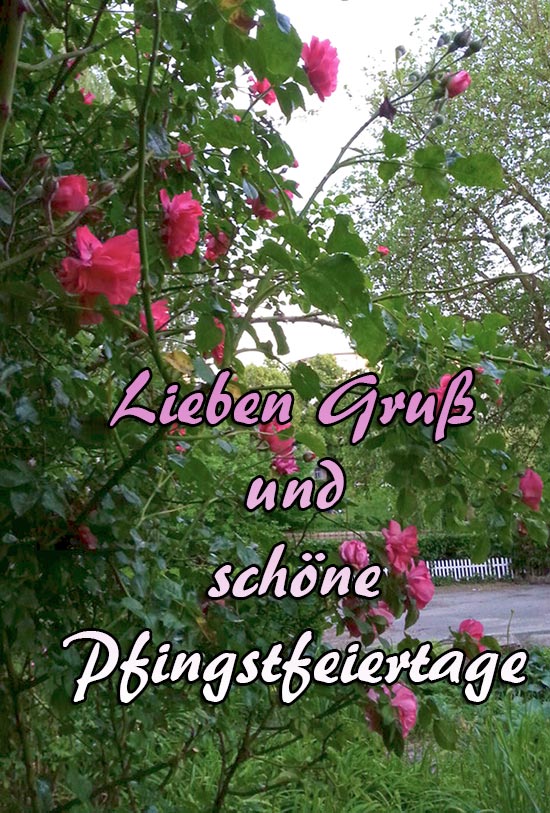 Kostenlose Pfingstbilder