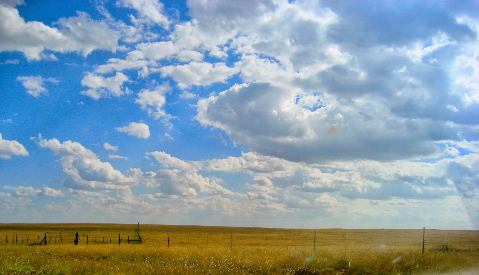 Living Rootless Highway 3, New Mexico Red and Yellow and Blue and White