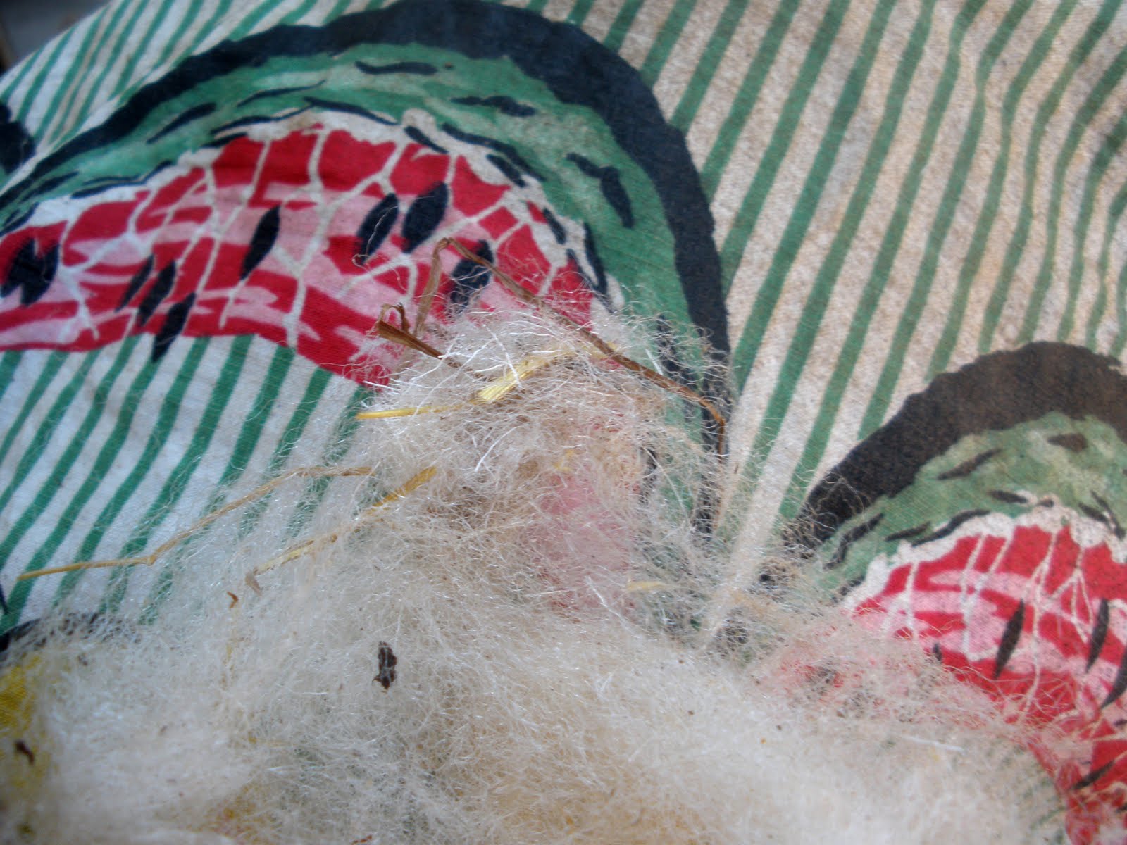 The Fiber Bug Preparing a Raw Fleece Flick Carding the Locks