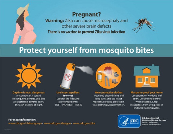Virus Zika  Apa yang ibu hamil patut tahu tentang bahaya 