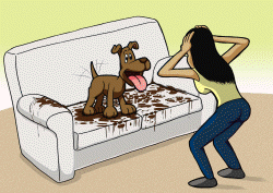 Is Diamond Puppy Food Good For Pitbulls Is Diamond Puppy Food Good For Pitbulls