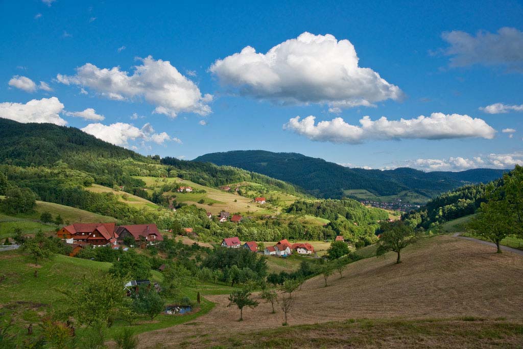 Black Forest Germany | Desktop Wallpapers