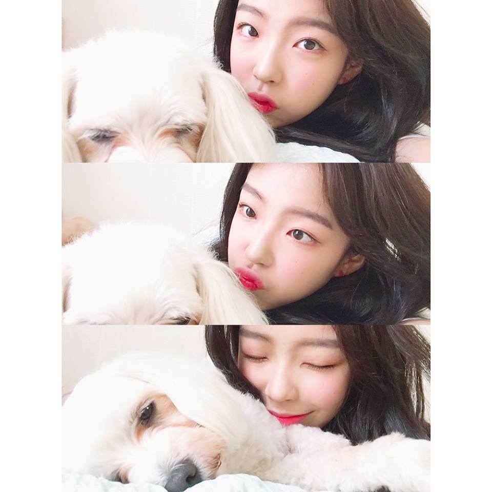 상반기 데뷔 예정인 16~20살 페이브 여자 연습생들.jpg | 인스티즈