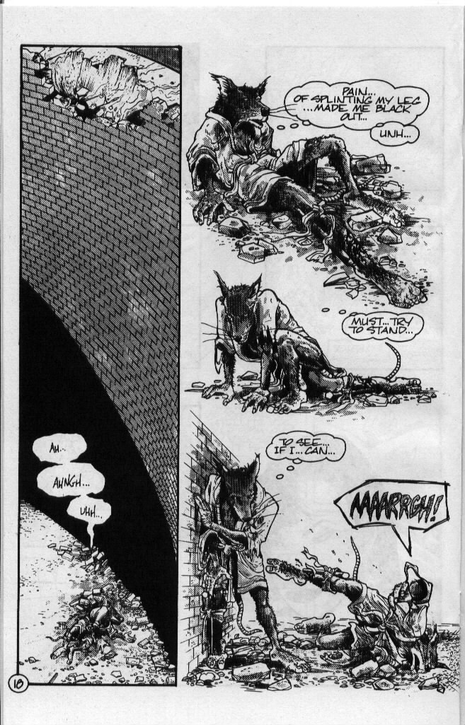 Teenage Mutant Ninja Turtles (1984) Issue #54 #54 - English 19