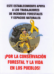 Trabajadores forestales en lucha