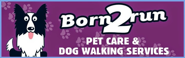 Born2Run Pet Care & Dog Walker, Dog Walking in Burnopfield