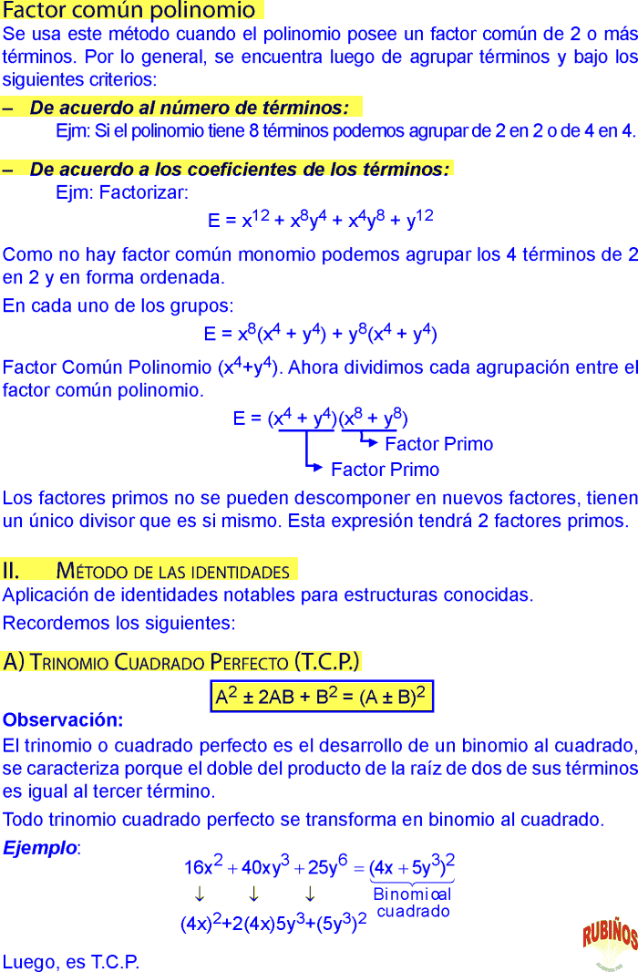 FACTORIZACION DE POLINOMIOS EJERCICIOS RESUELTOS PASO A PASO PDF