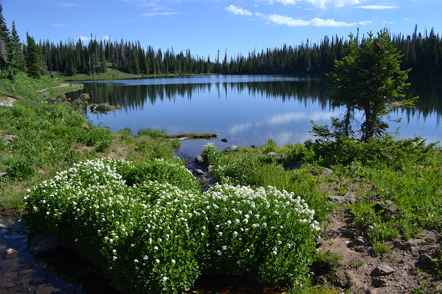 West Lost Lake