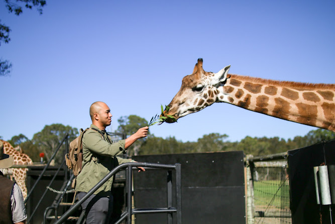 Mogo Zoo Jervis Bay Australia 