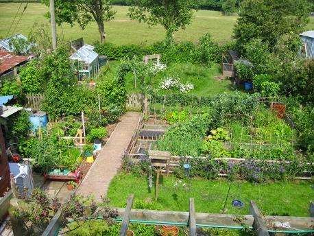 Permaculture pour les nuls