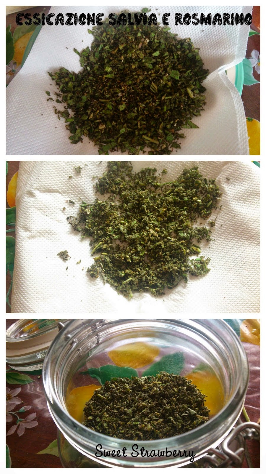 Sweet Strawberry Conservazione e Essiccazione Essiccare nel microonde