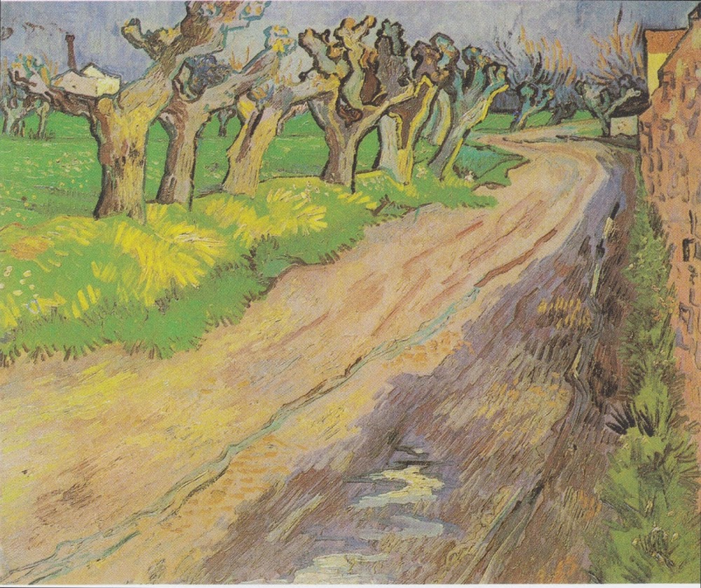 Pollard Willows