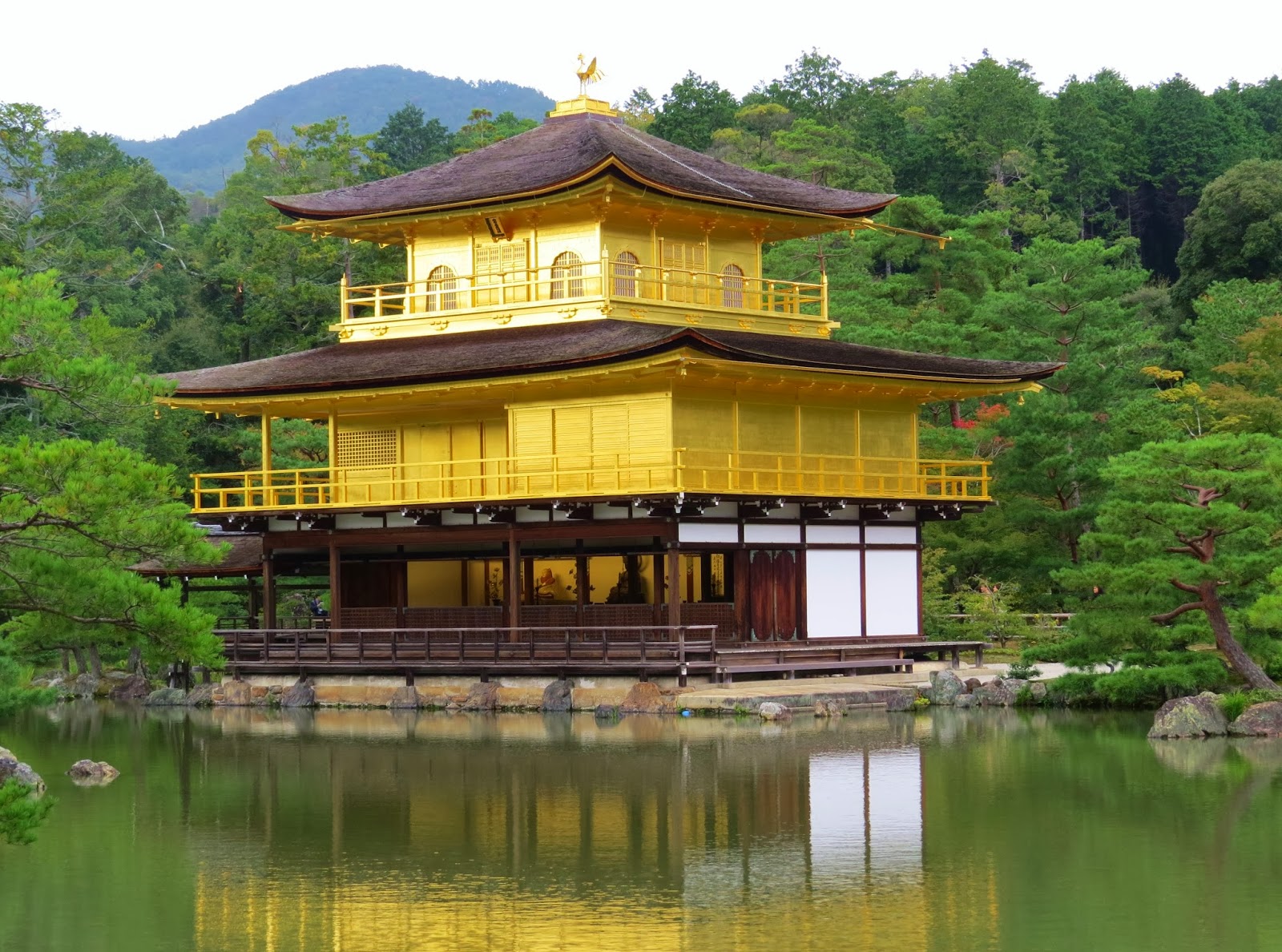 Золотой храм в киото япония