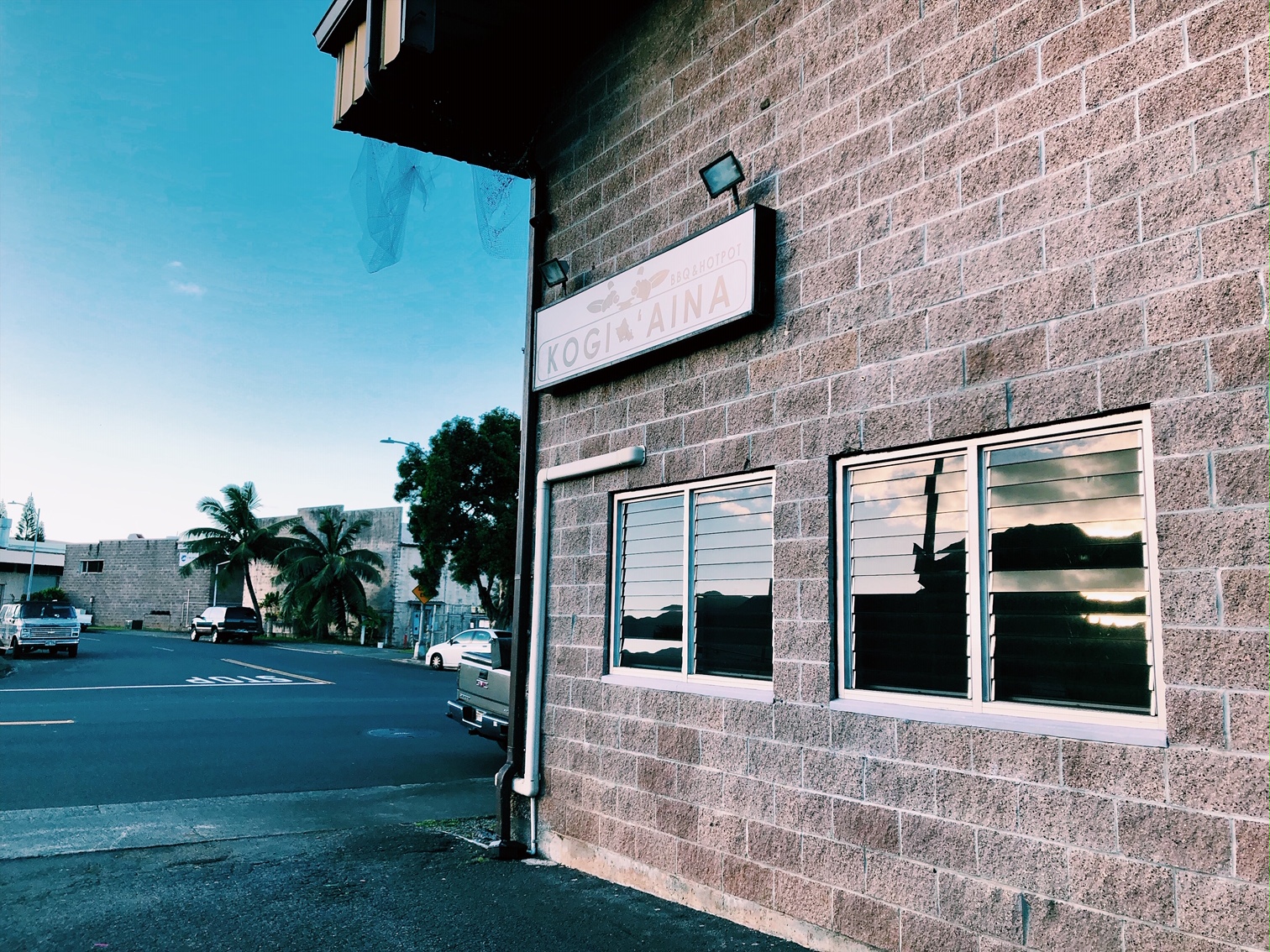 Hawaii Mom Blog Kogi Aina