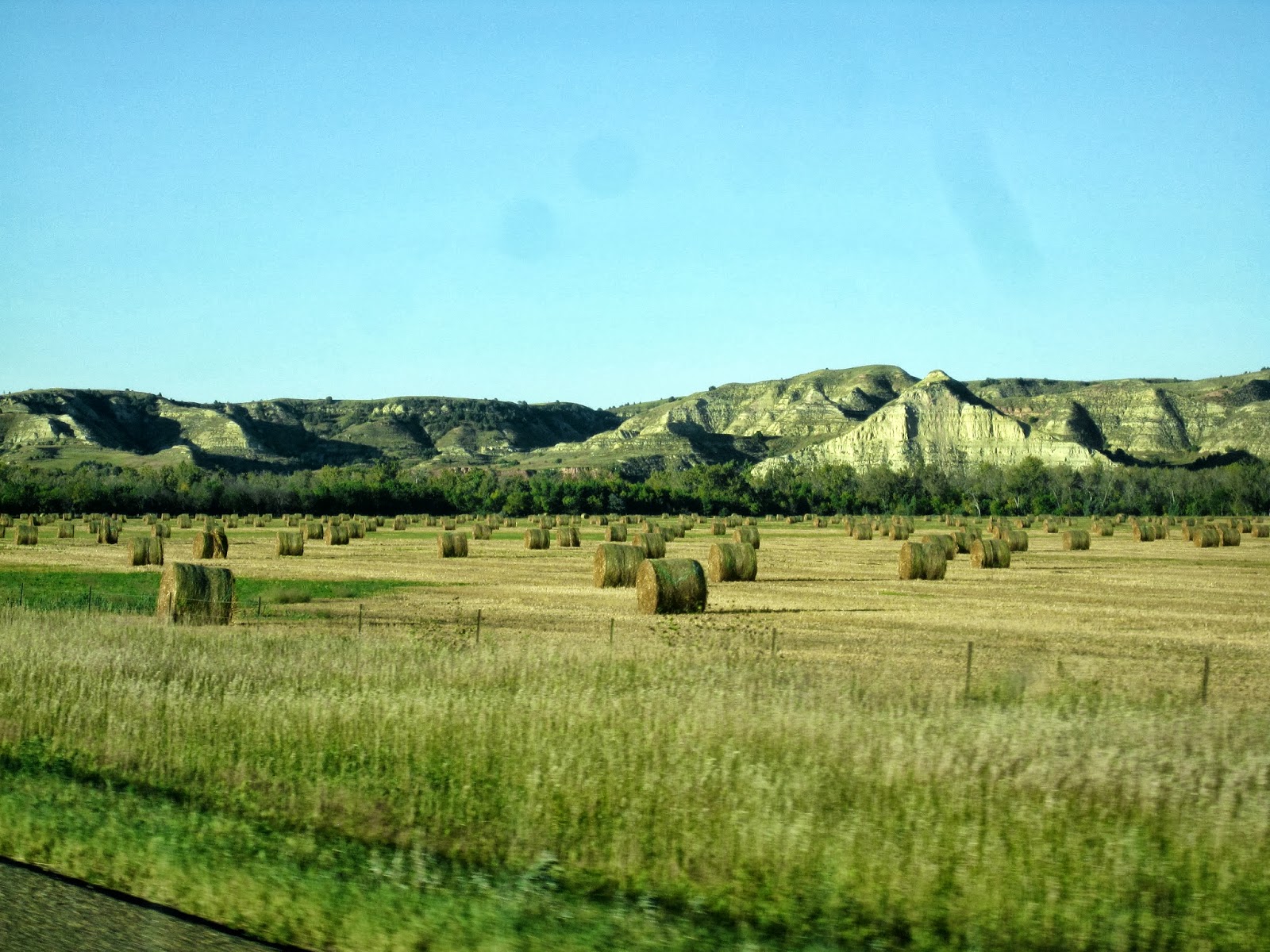 Gypsies In A Caravan Sugar Beet Harvest in Culbertson MT