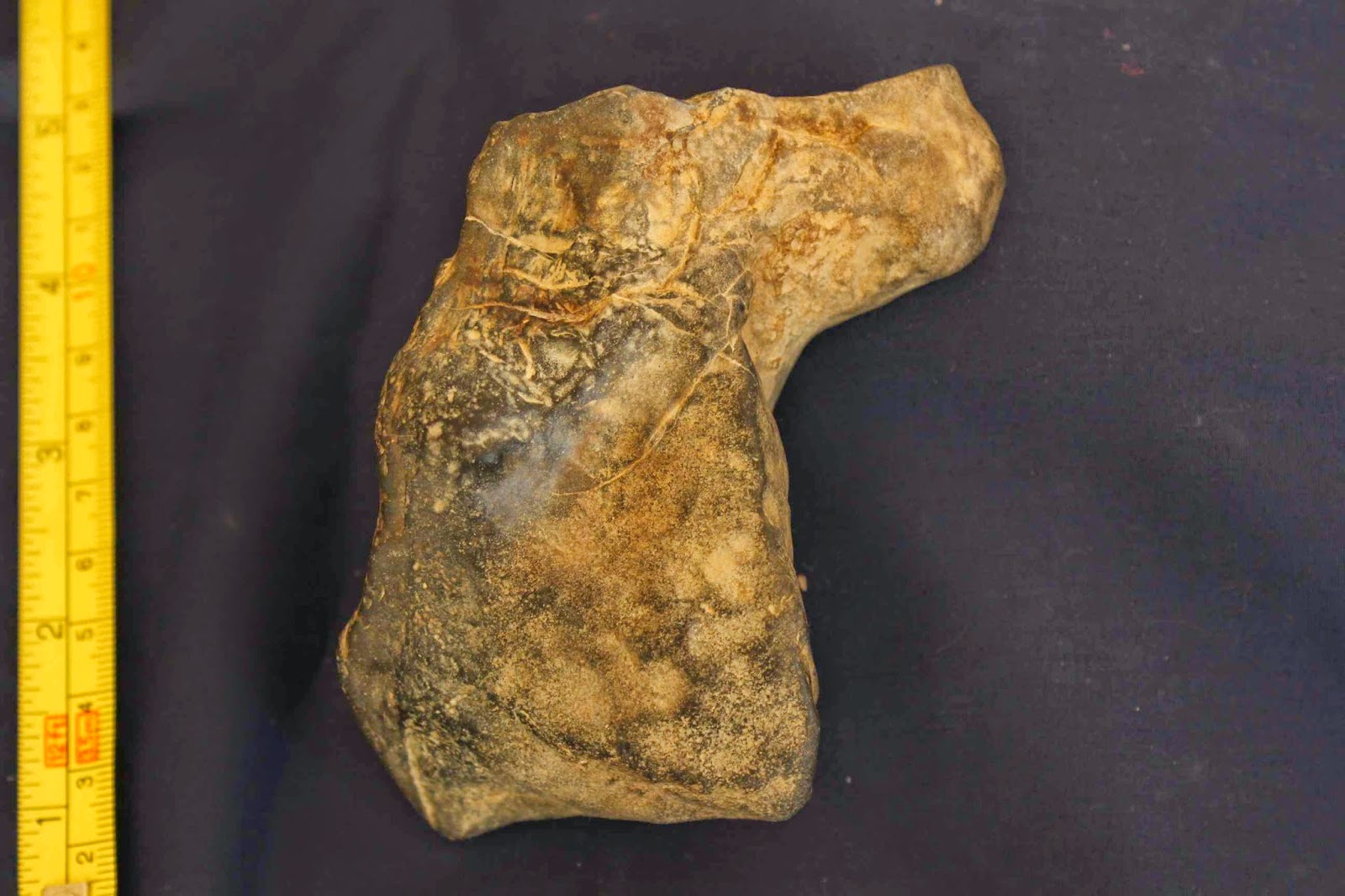 Archaeology of Portable Rock Art Virginia horse country in the Stone