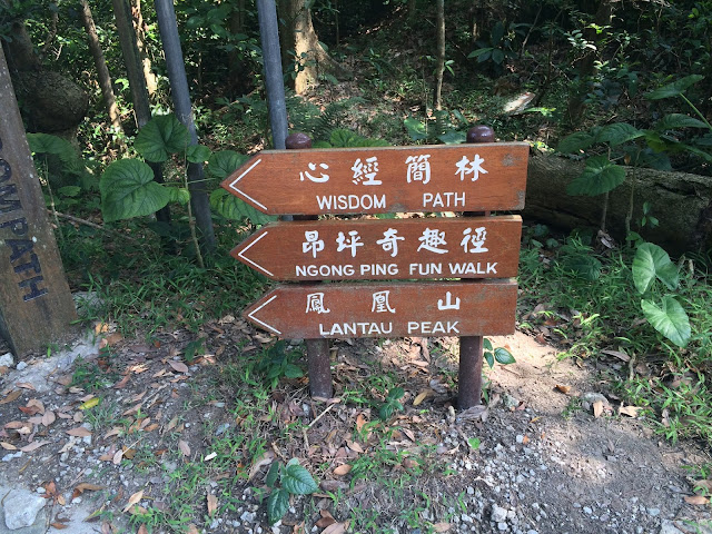 Ngong Ping, Ngong Ping Village, Ngong Ping Piazza, tian Tan Buddha, Hongkong,Lantau,lantau island, Wisdom Path