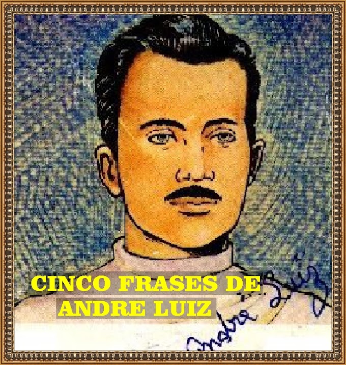 CINCO FRASES DE ANDRE LUIZ