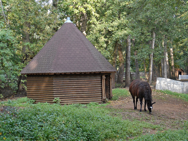 lama domek, trawa, drzewa, ogród zoologiczny