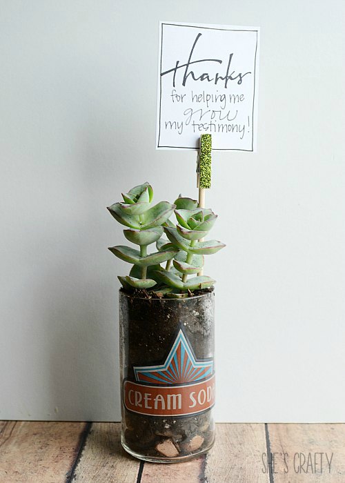 Inexpensive Seminary Teacher Gift- succulents, grow testimony