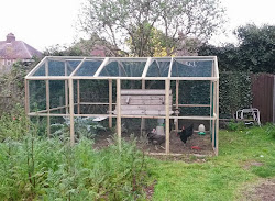 chicken coop organic plans stay health flexibility factor medium