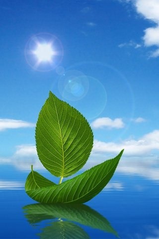 Legenda foto na piscina com amigos 3d nature wallpaper for smartphone