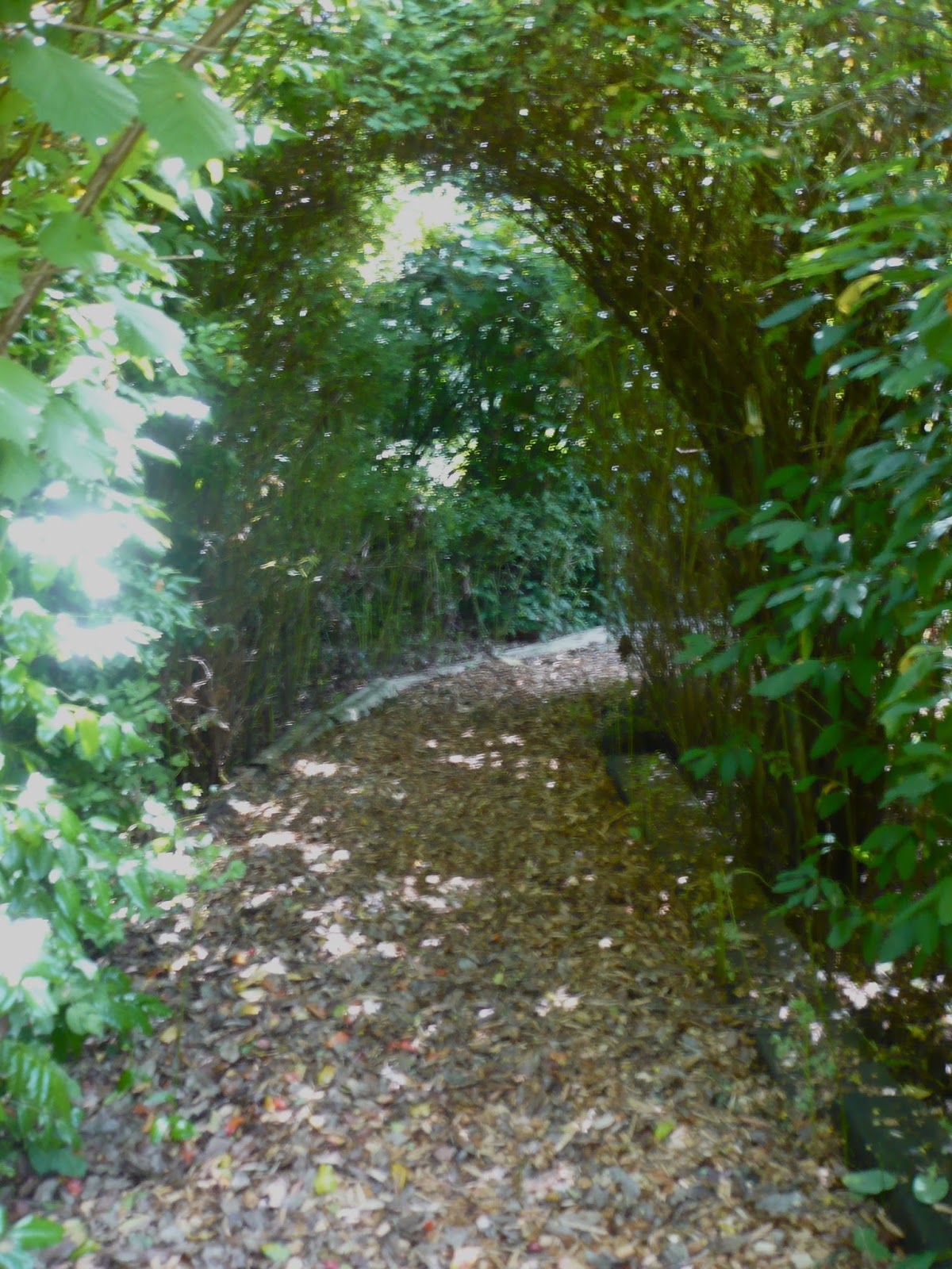 Whatsitgarden Wildlife Botanical Gardens...